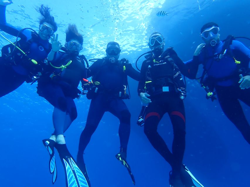 Lisbon: Try Dive in Arrábida Marine Reserve Setubal Sesimbra - Quick take: what makes this Arrábida scuba try worth your time