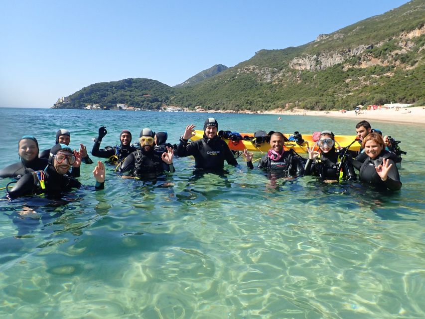 Lisbon: Try Dive in Arrábida Marine Reserve Setubal Sesimbra - Why the Arrábida Marine Reserve is a smart first underwater experience