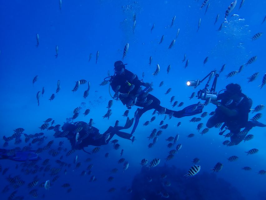 Lisbon: Try Dive in Arrábida Marine Reserve Setubal Sesimbra - Should you book this Try Scuba session?