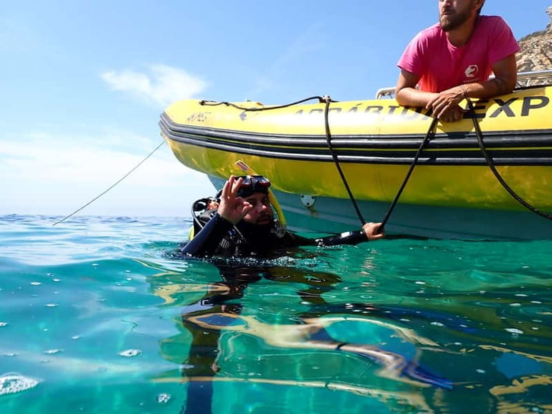 Lisbon: Try Scuba Diving in Arrábida Marine Reserve w/photos - Key things that make this scuba try-out worth it