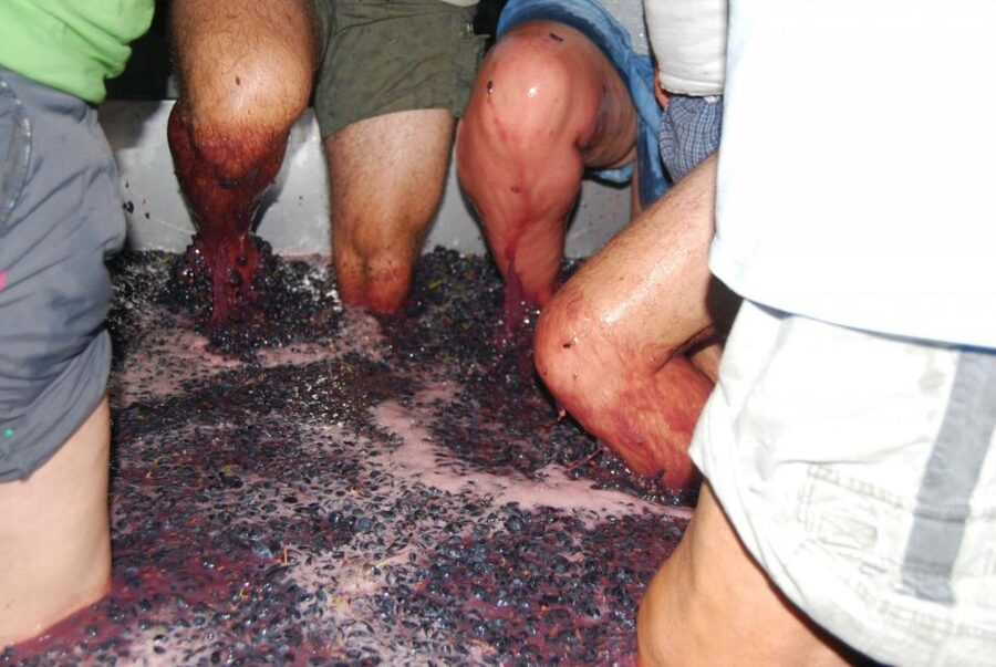 Loulé: Quinta da Tôr Winery Guided Tour and Wine Tasting - Why Quinta da Tôr feels like a real Algarve break