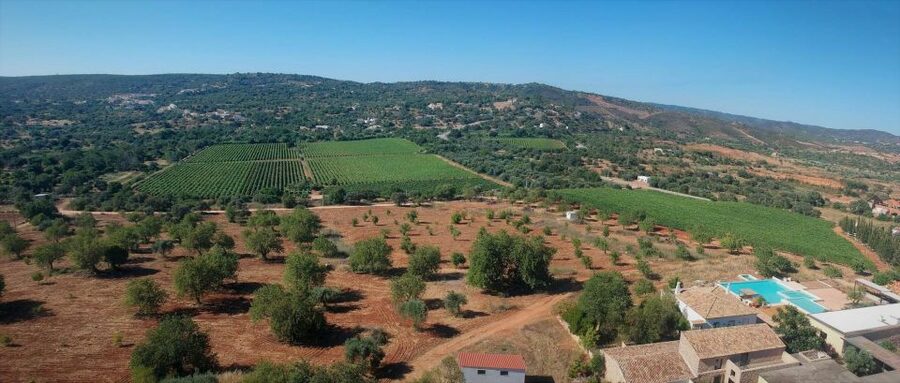 Loulé: Quinta da Tôr Winery Guided Tour and Wine Tasting - The food pairing: local bread and homemade olive oil