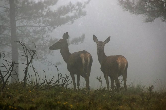 Lousa Mountain Private Tour - Key Points to Know Before You Go