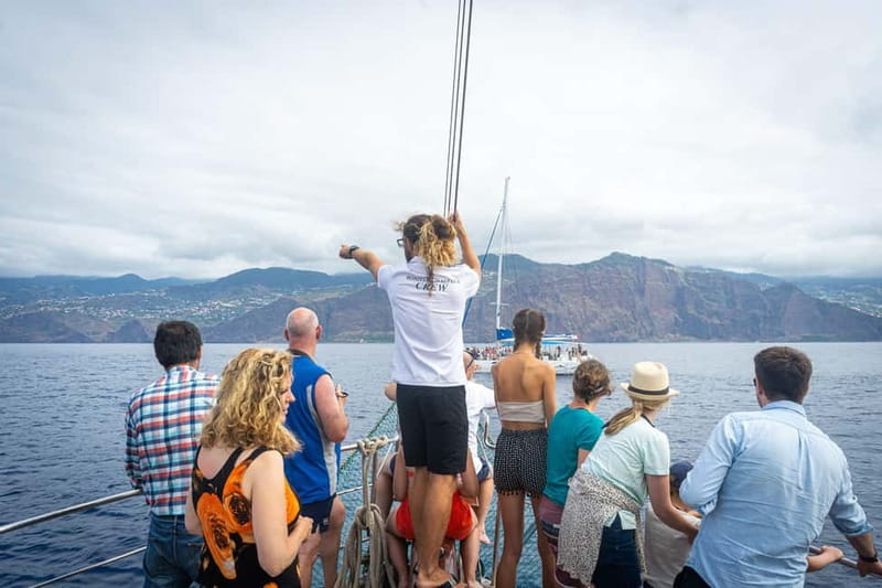 Madeira : 5 hour East Coast boat excursion - Garajau Reserve and Cristo Rei, Madeira’s coastline at its most dramatic
