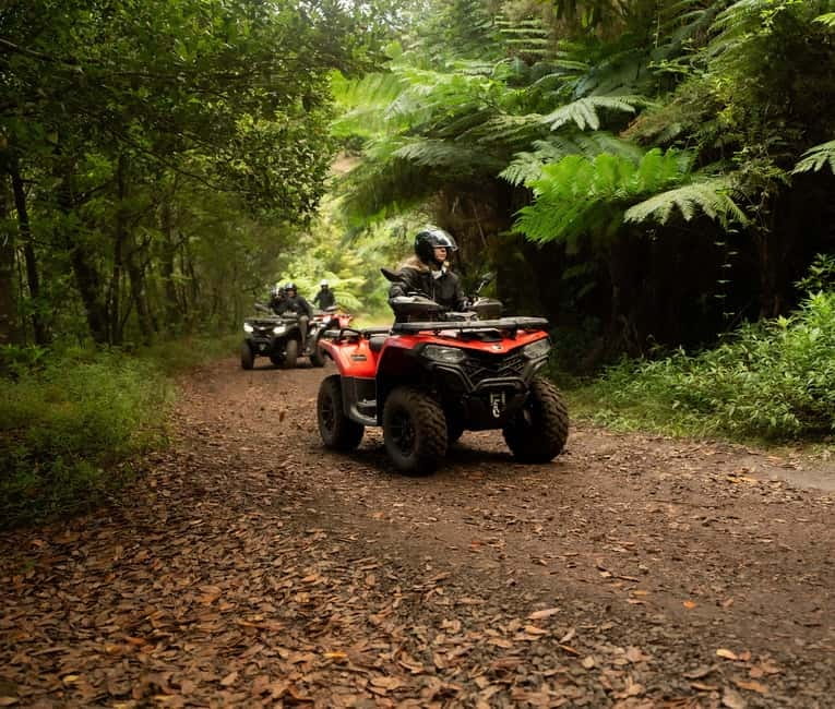 Madeira: Aventura Off-Road de ATV ou Quad - Adrenalina - Key things I’d watch for before booking