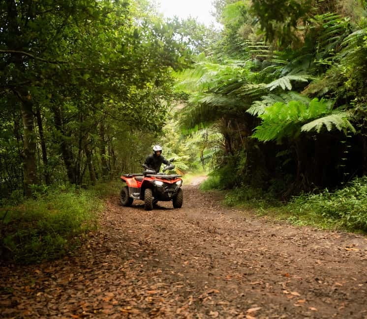 Madeira: Aventura Off-Road de ATV ou Quad - Adrenalina - Why quad biking is a smart way to see Madeira