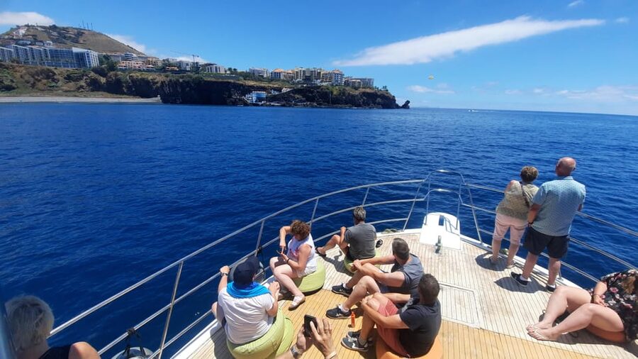 Madeira: Boat Trip with Lunch, Drinks, and Hotel Transfer - Lunch Afloat: Buffet Madeira Food, Not Just Bread and Snacks