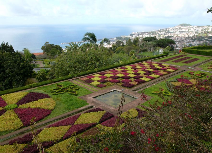 Madeira: Botanical Garden in a Tuk-Tuk Tour - Key points to know before you go