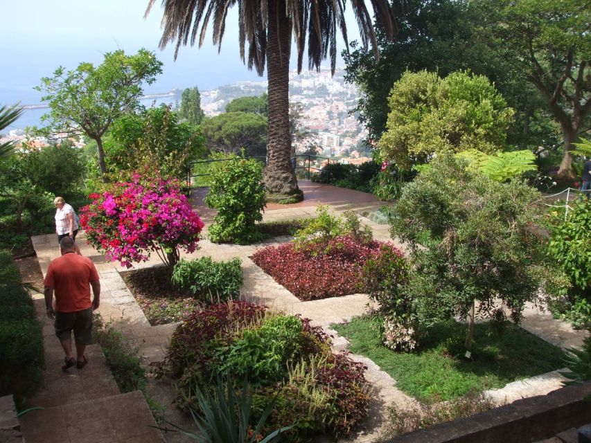 Madeira: Botanical Garden in a Tuk-Tuk Tour - The Botanical Garden of Madeira: What One Hour Can Really Deliver