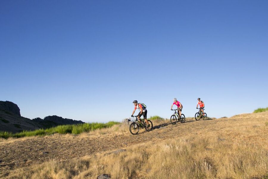 Madeira Botanical Levels Bike Tour – Scenic Trail Experience - The 25K Levada Glide Through Madeira’s Plant Zones
