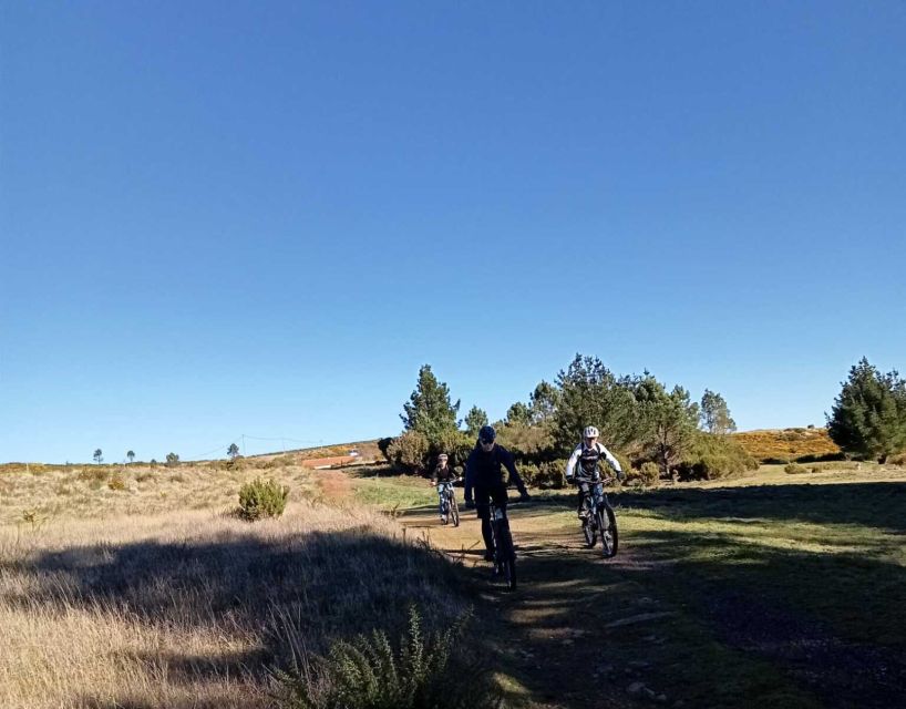 Madeira Botanical Levels Bike Tour – Scenic Trail Experience - Bikes and Gear: Full Suspension That Actually Helps