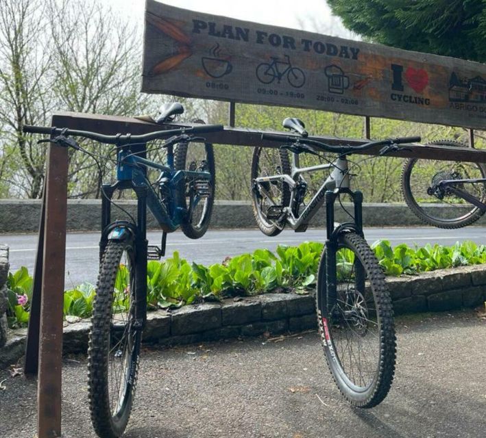 Madeira Botanical Levels Bike Tour – Scenic Trail Experience - Guides, Photos, and the Value of Real Local Skill