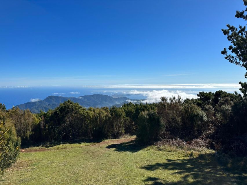 Madeira Botanical Levels Bike Tour – Scenic Trail Experience - Who This Tour Fits Best (and Who Should Think Twice)