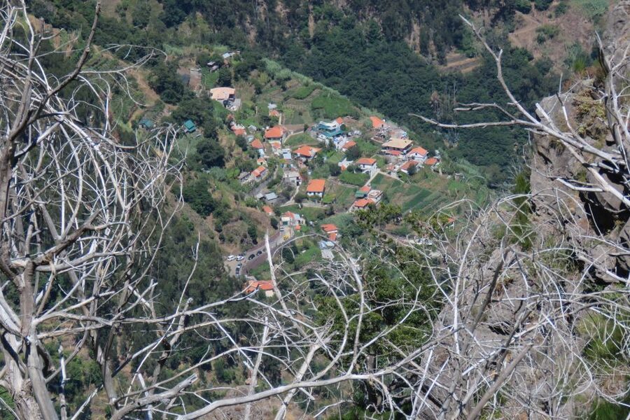 Madeira : Cabo Girao and Camara de Lobo 4WD half-day Tour - Poncha at a Local Bar: A Short Cultural Break That’s Actually Practical