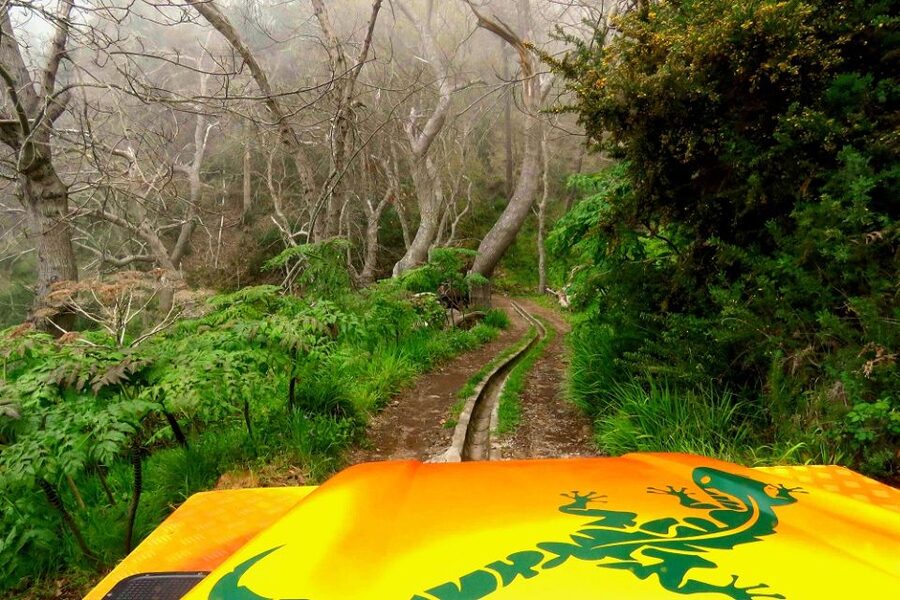 Madeira : Cabo Girao and Camara de Lobo 4WD half-day Tour - What the 4 Hours Feel Like in Real Time