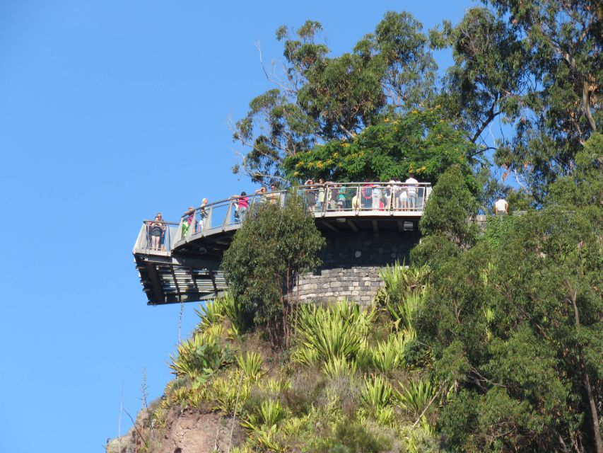Madeira : Cabo Girao and Camara de Lobo 4WD half-day Tour - Price and Value: Is $58 Worth a Half-Day?