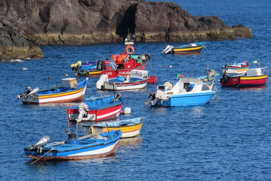 Madeira : Cabo Girao and Camara de Lobo 4WD half-day Tour - Guide Languages: What’s Listed, and What You Should Confirm