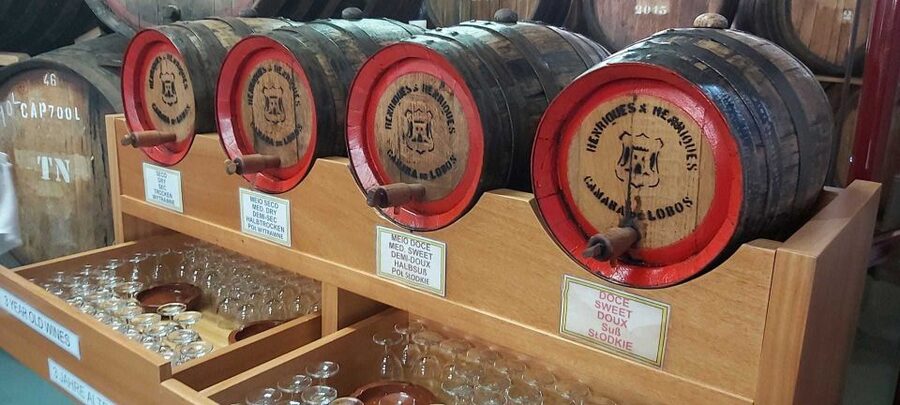 Madeira: Cabo Girao, Jeep Tour Adventure and Wine Tasting - Wine tasting: what the free Madeira flight teaches you