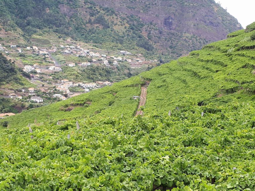 Madeira: Cabo Girão, Wine Tasting, & Serra d'Água Jeep Tour - Serra d’Água to São Vicente: terraced views and quick perspective shifts