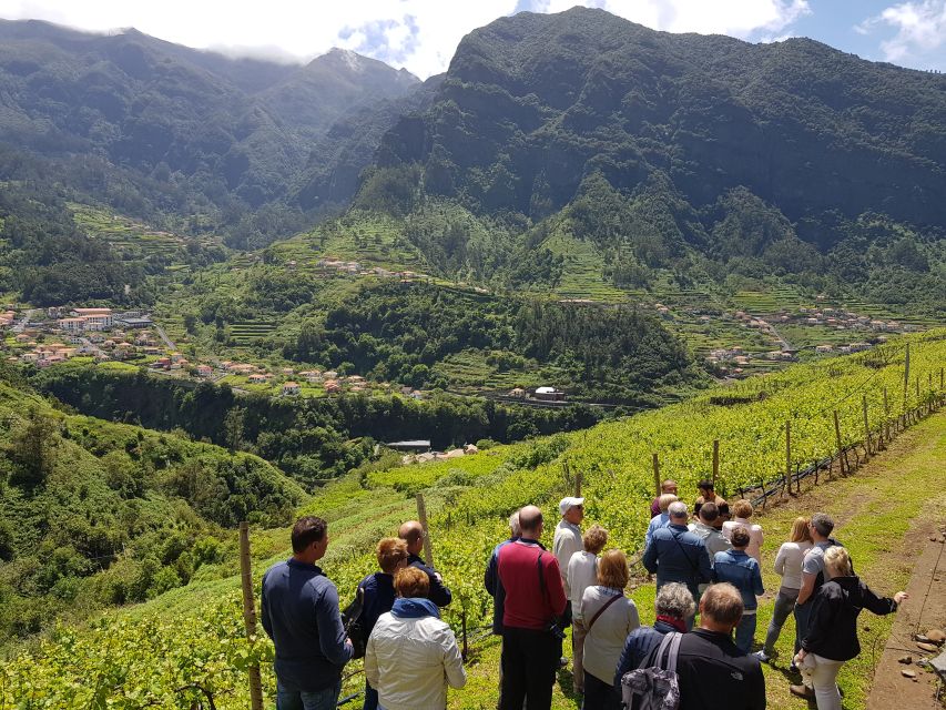 Madeira: Cabo Girão, Wines Experience and Dolphins Watching - Marina of Funchal pause, lunch time and getting ready for the boat