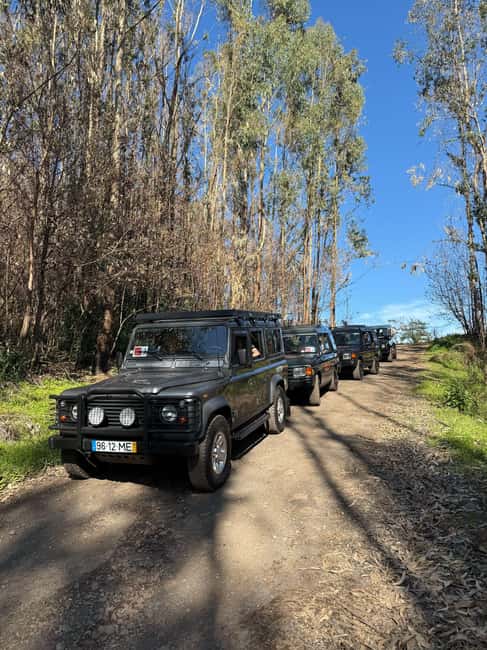 Madeira: Câmara de Lobos & Cabo Girão Half-Day Jeep Tour - Bar O Mário break, and how to use it well