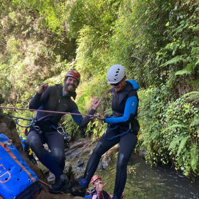 Madeira Canyoning Beginners – Easy & Fun Waterfall Adventure - Inside the canyon: endemic plants and the mystic treebeards vibe