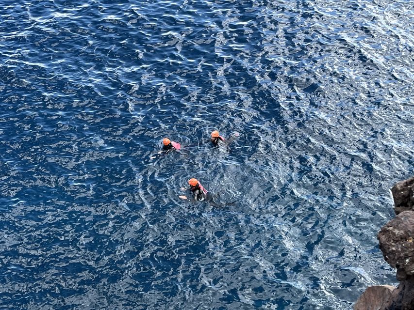 Madeira Coasteering and Cliff Jumping Thrill & Adventure - Climbing, swimming, and cooling off between jumps