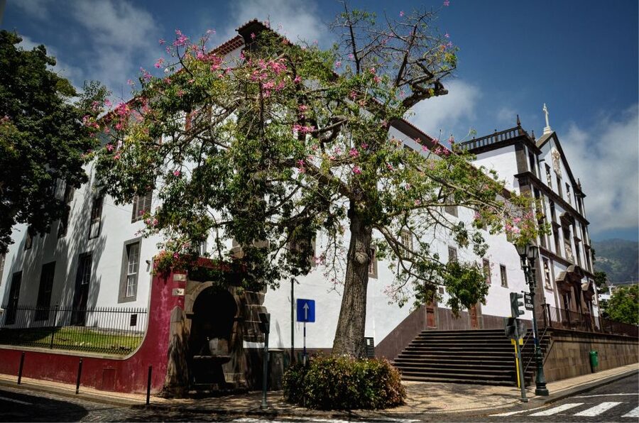 Madeira: Customized 3, 4 or 6-Hour Tour - FAQ