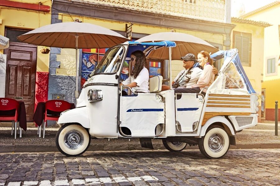 Madeira: Customized 3, 4 or 6-Hour Tour - How to choose your stops: cliffs, villages, gardens, or the mountain air