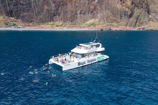 Madeira Dolphin and Whale Watching on a Ecological Catamaran - Key things I’d book this for