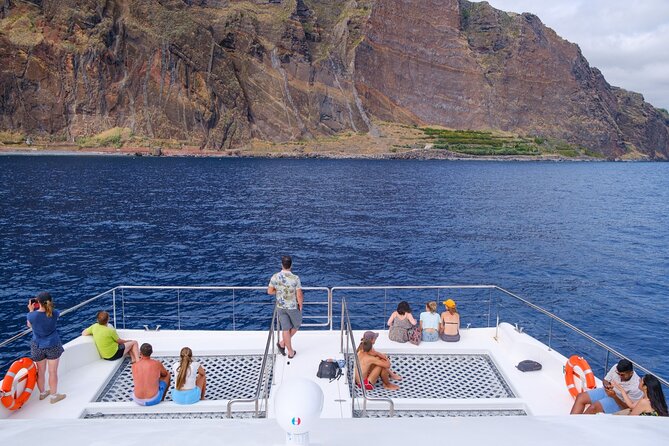 Madeira Dolphin and Whale Watching on a Ecological Catamaran - Madeira dolphin and whale watching, minus the usual chaos