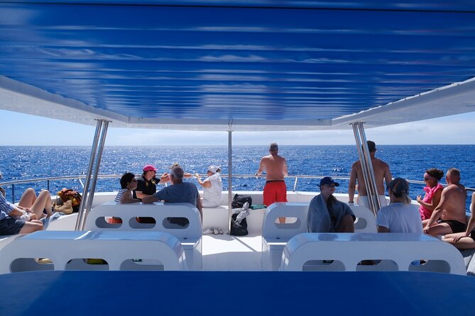 Madeira Dolphin and Whale Watching on a Ecological Catamaran - The return route: Cabo Girao, Camara de Lobos, and Reid’s Hotel