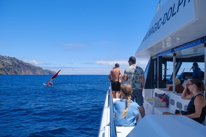 Madeira Dolphin and Whale Watching on a Ecological Catamaran - Comfort at sea: seats, spray, and what to bring