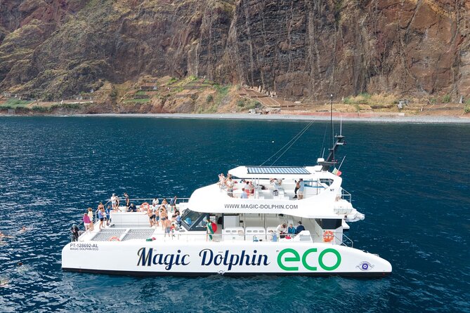 Madeira Dolphin and Whale Watching on a Ecological Catamaran - Spotters, binoculars, and quiet cruising that actually helps