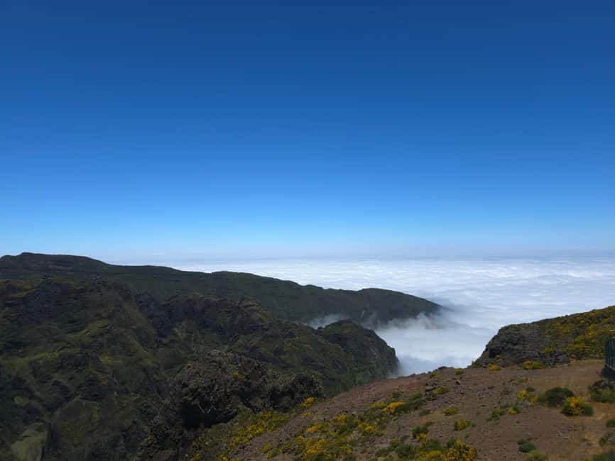 Madeira: East Island Tour with Rum Tasting - Key highlights you will feel all day