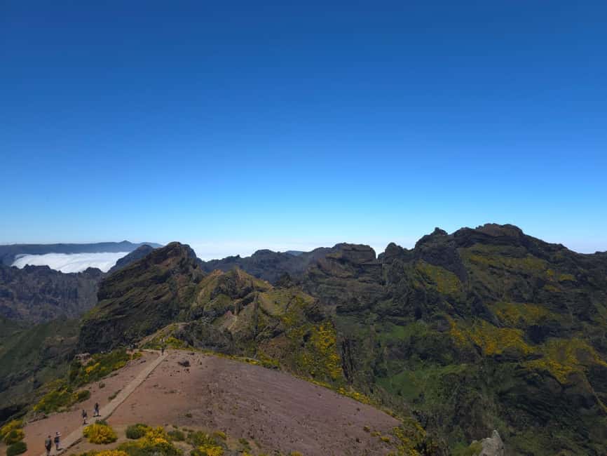 Madeira: East Island Tour with Rum Tasting - Why this East Island loop feels efficient