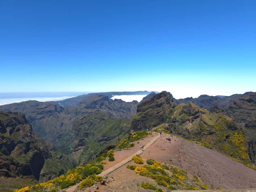 Madeira: East Island Tour with Rum Tasting - Santana lunch time and thatched-house photos