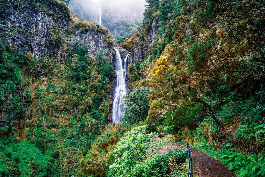 Madeira: Enjoy a Guided Levada Walk in the Rabaçal Valley - Key highlights at a glance
