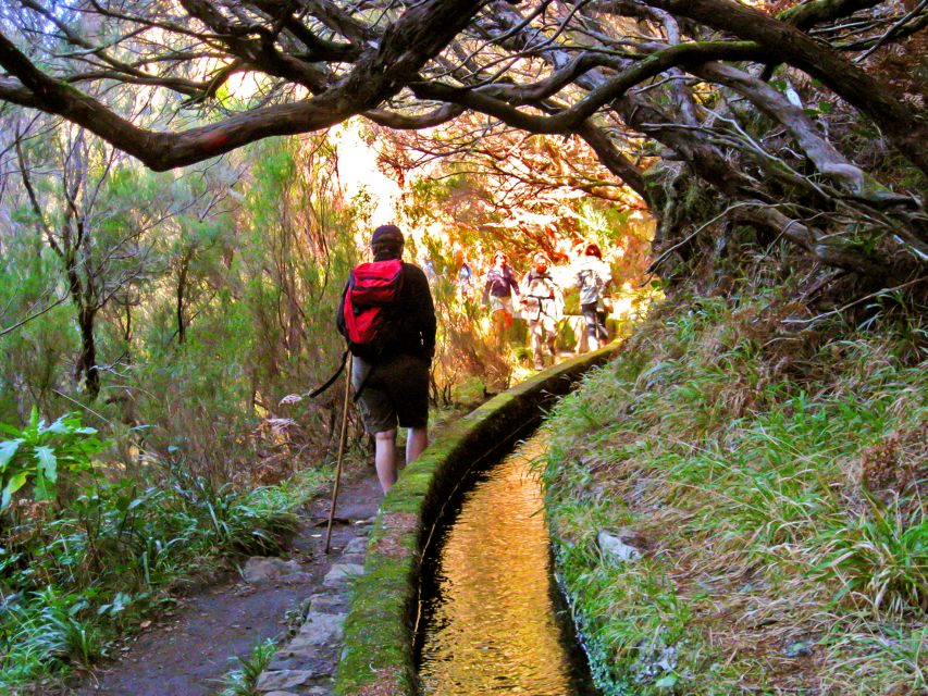 Madeira: Enjoy a Guided Levada Walk in the Rabaçal Valley - The guide is the difference between a photo stop and a real day out