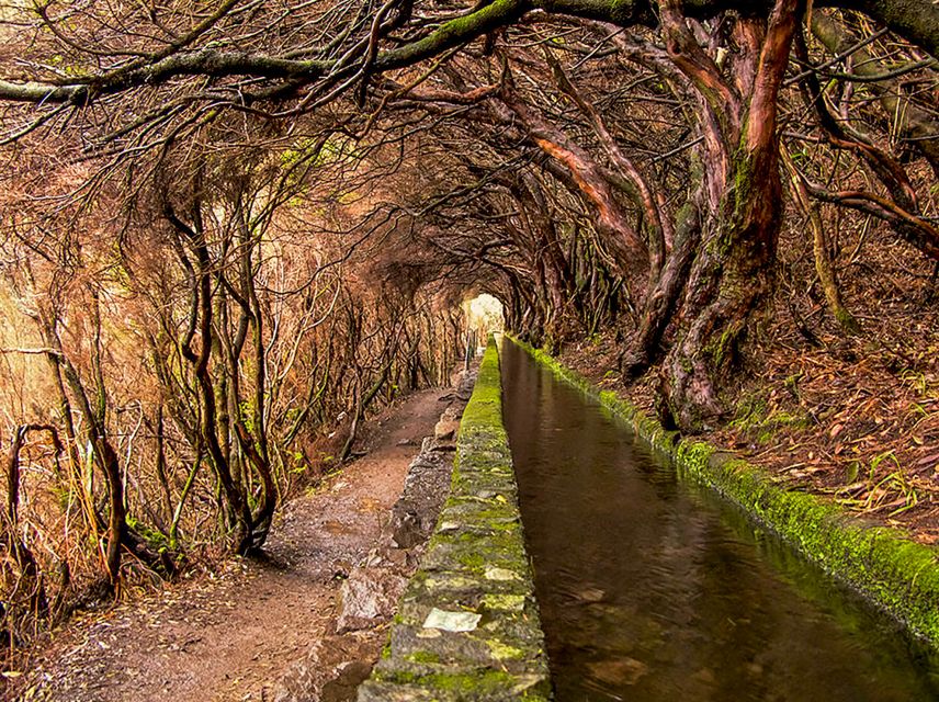 Madeira: Enjoy a Guided Levada Walk in the Rabaçal Valley - Terrain and pacing: what moderate really means on Madeira