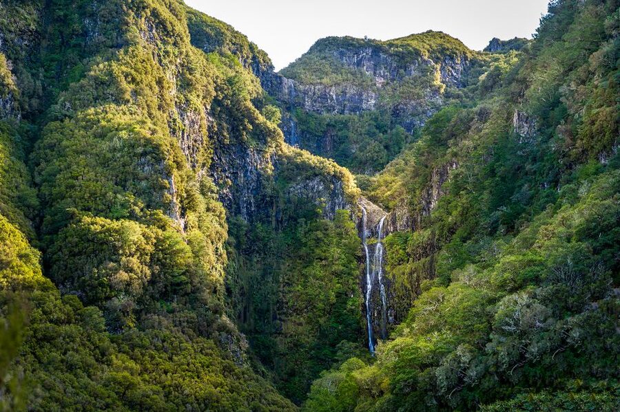Madeira: Enjoy a Guided Levada Walk in the Rabaçal Valley - Price and value: does $50 make sense for this 8-hour day?