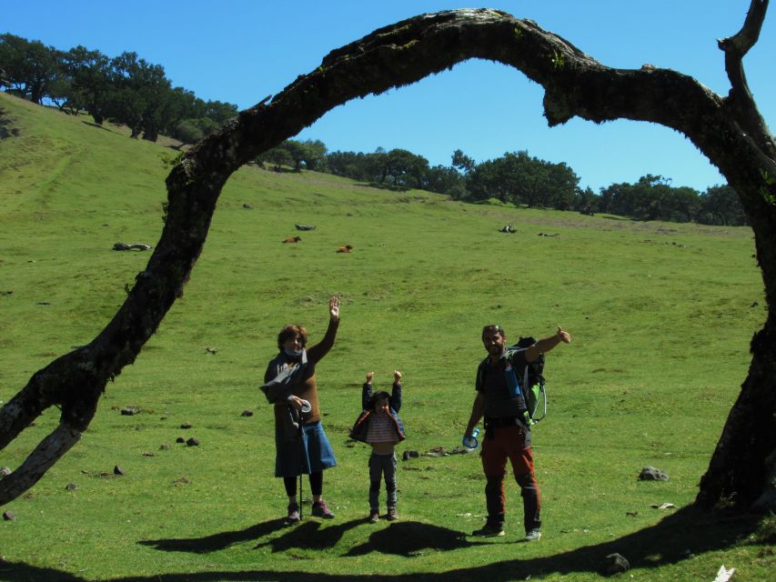 Madeira: Fanal Forest Guided Hiking Tour - Key things to know before you go