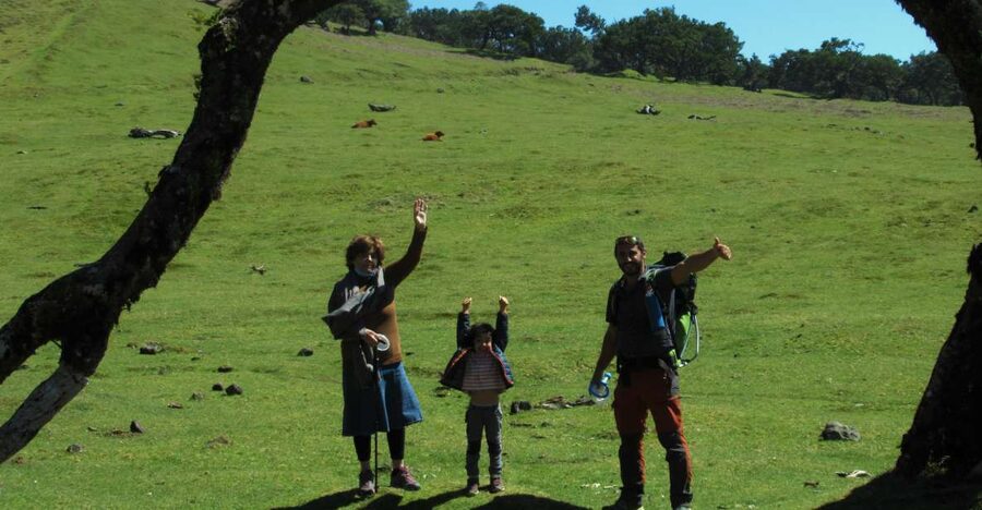 Madeira: Fanal Forest Guided Hiking Tour - Madeira’s Fanal Forest: What makes this guided hike special