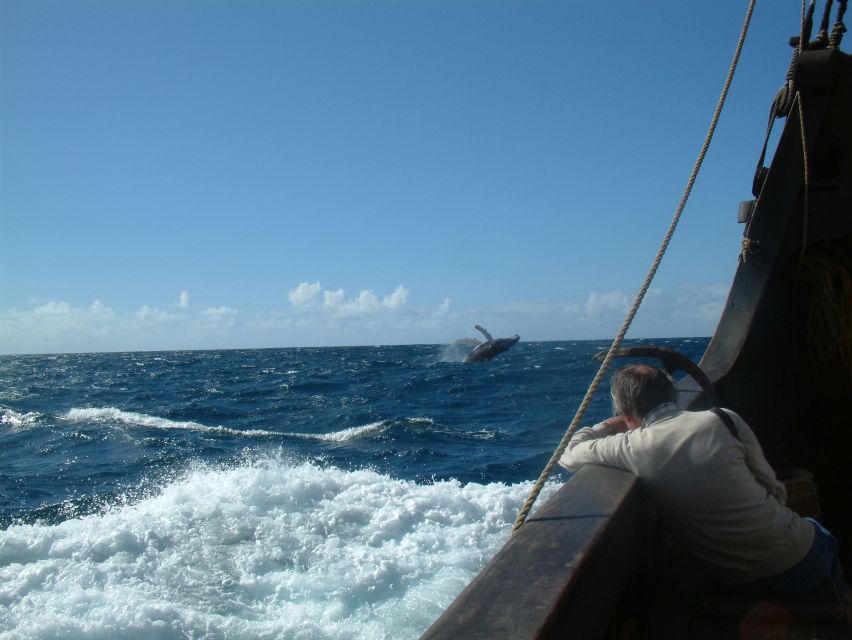 Madeira: Flag Ship Tour aboard Santa Maria de Colombo - Sails, stories, and how the crew makes 3 hours feel full