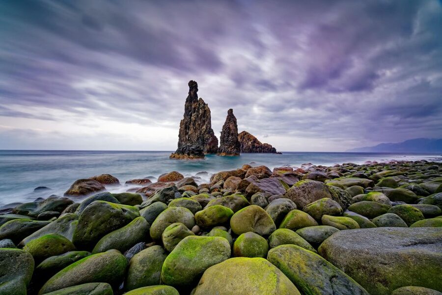 Madeira: Full-Day Jeep Tour, Natural Pools, Seixal & Fanal - The Off-Road Viewpoint Stop: Small Time, Big Mountain Energy
