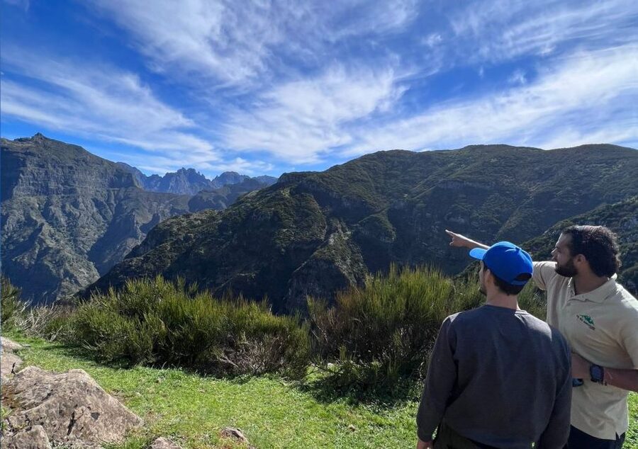 Madeira: Full-Day Jeep Tour with Guide and Pickup - Fanal Forest: The Most Peaceful Stop of the Day