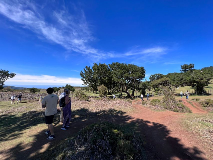 Madeira: Full-Day Jeep Tour with Guide and Pickup - Ponta do Sol Sun Time: End the Day on a Warm Note
