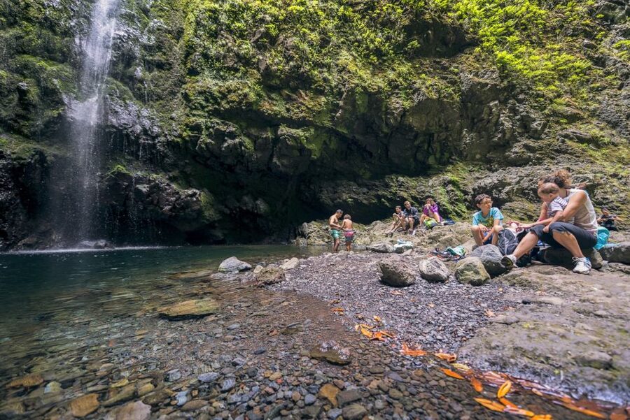 Madeira: Full-Day Laurel Forest Guided Walking Tour - Laurel Forest to Caldeirão Verde, what makes this hike special