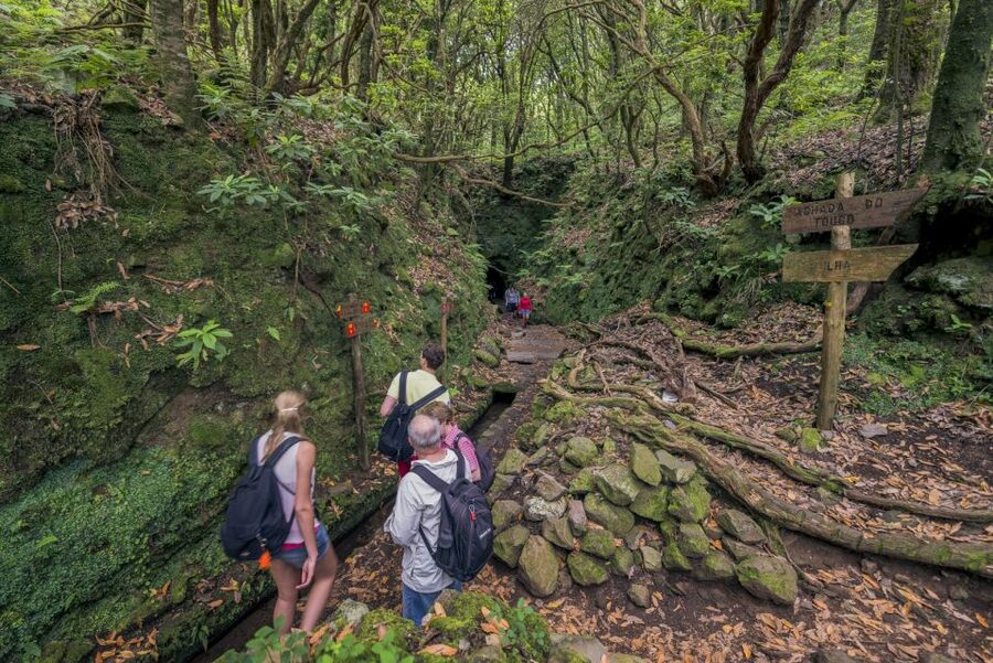 Madeira: Full-Day Laurel Forest Guided Walking Tour - Caldeirão Verde: the break, the view, then the turnaround