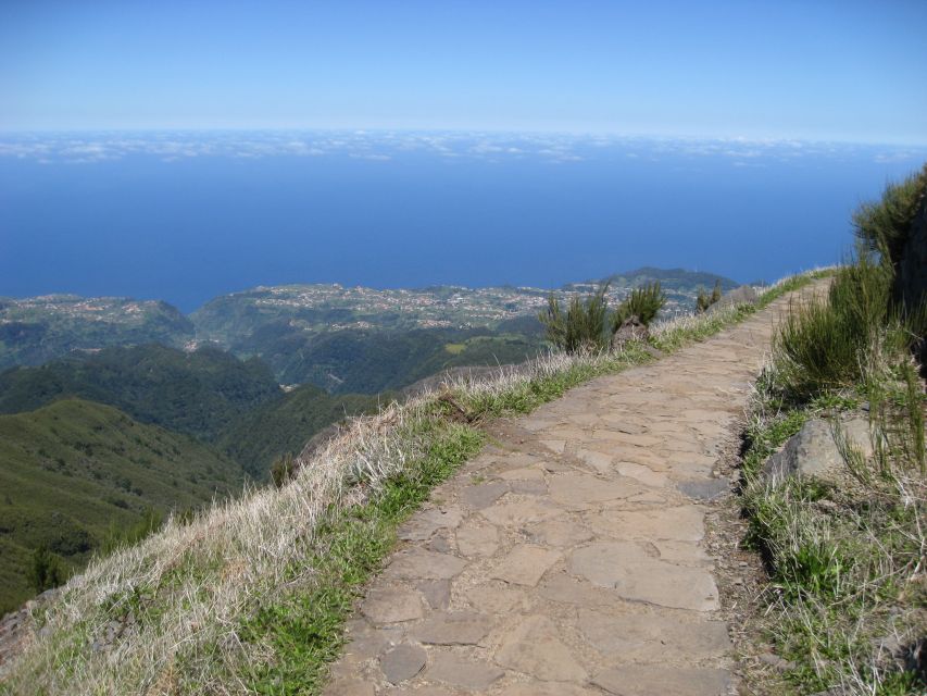 Madeira: Full-Day Pico Ruivo / Achada do Teixeira Walk - Heather forest on Madeira: what you are walking through